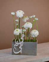 كارا